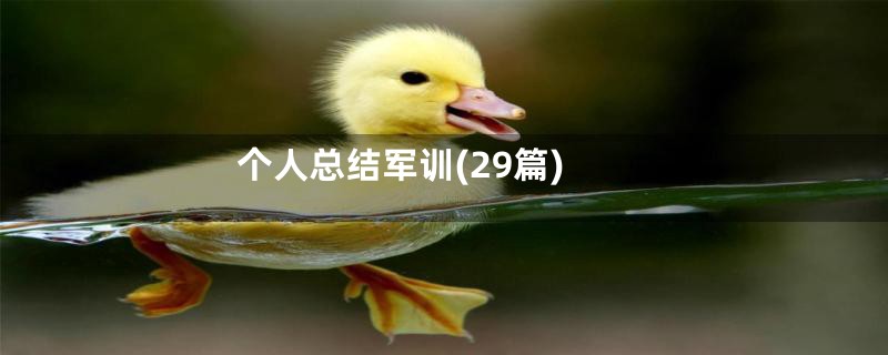 个人总结军训(29篇)