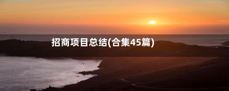 招商项目总结(合集45篇)