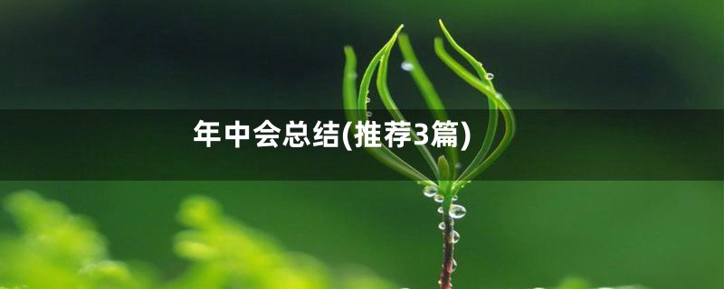 年中会总结(推荐3篇)