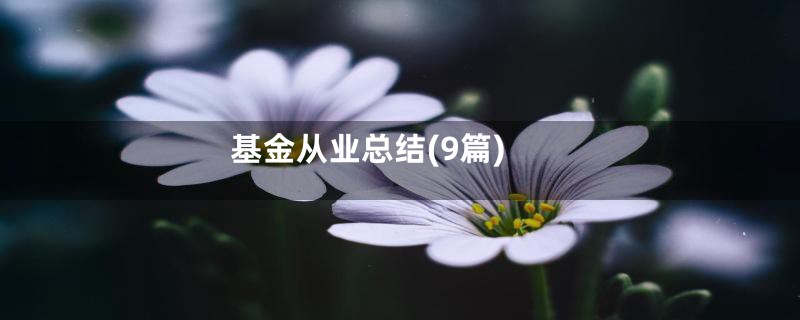 基金从业总结(9篇)