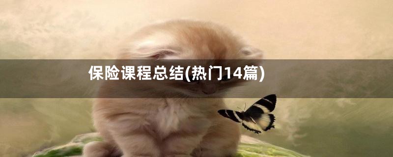 保险课程总结(热门14篇)