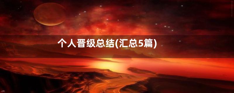 个人晋级总结(汇总5篇)
