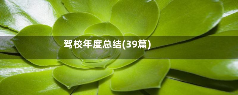 驾校年度总结(39篇)
