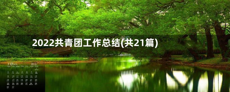 2022共青团工作总结(共21篇)