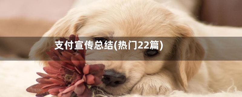 支付宣传总结(热门22篇)