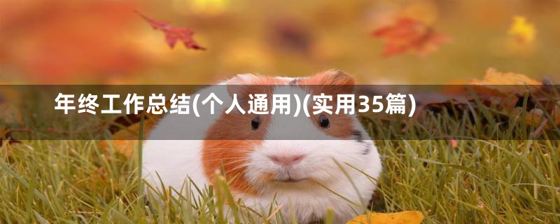 年终工作总结(个人通用)(实用35篇)