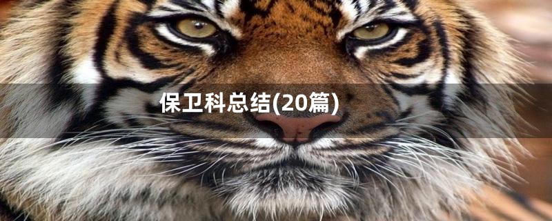 保卫科总结(20篇)