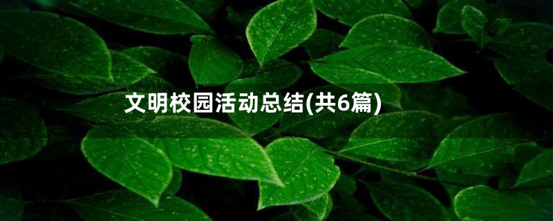 文明校园活动总结(共6篇)