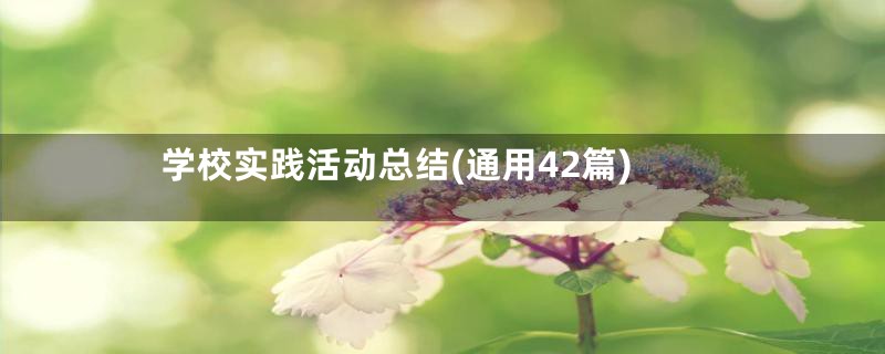 学校实践活动总结(通用42篇)
