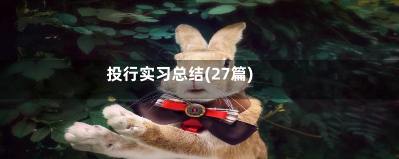 投行实习总结(27篇)