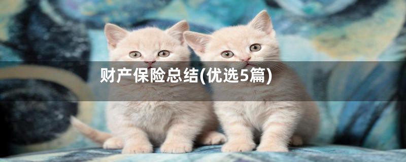 财产保险总结(优选5篇)