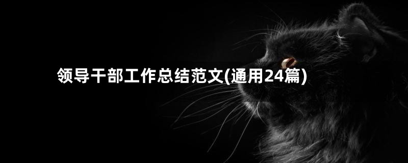领导干部工作总结范文(通用24篇)