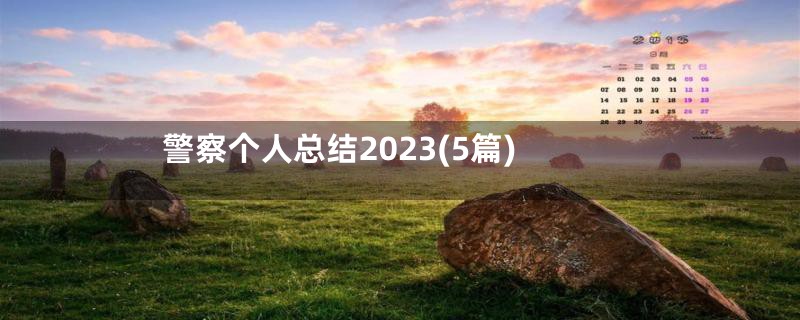 警察个人总结2023(5篇)