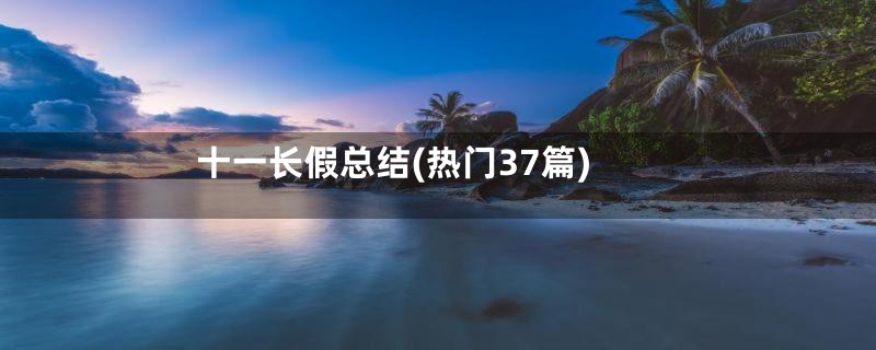 十一长假总结(热门37篇)