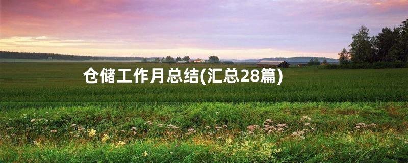 仓储工作月总结(汇总28篇)
