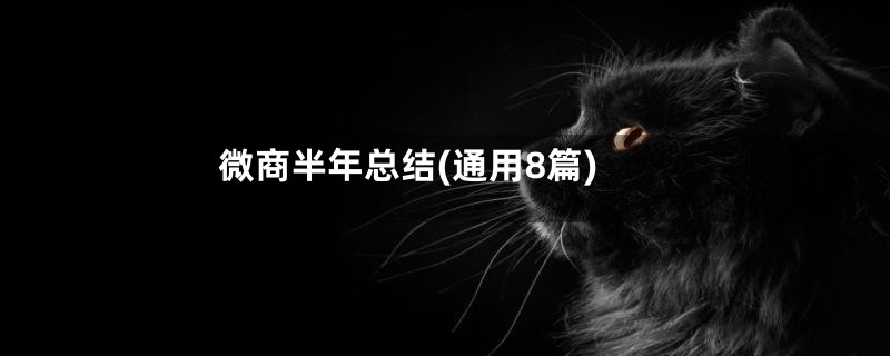 微商半年总结(通用8篇)