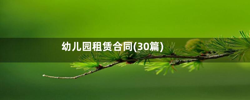 幼儿园租赁合同(30篇)