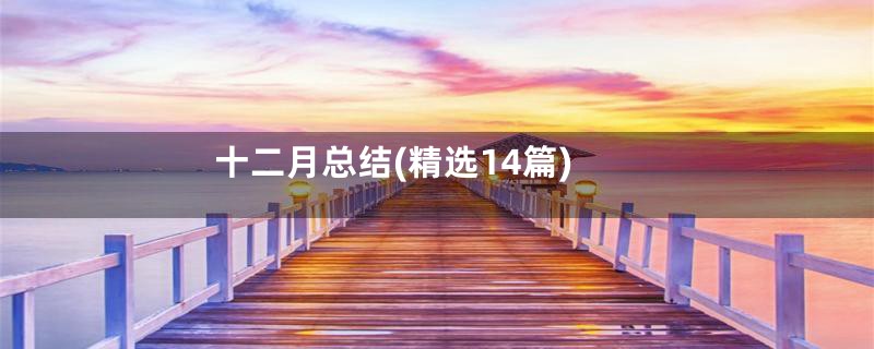 十二月总结(精选14篇)
