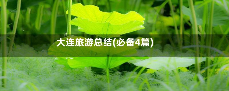 大连旅游总结(必备4篇)