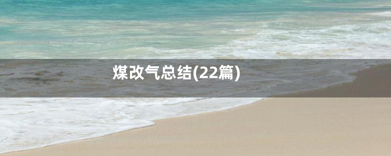 煤改气总结(22篇)