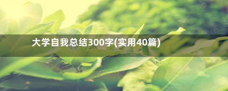 大学自我总结300字(实用40篇)
