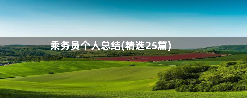乘务员个人总结(精选25篇)