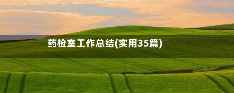 药检室工作总结(实用35篇)