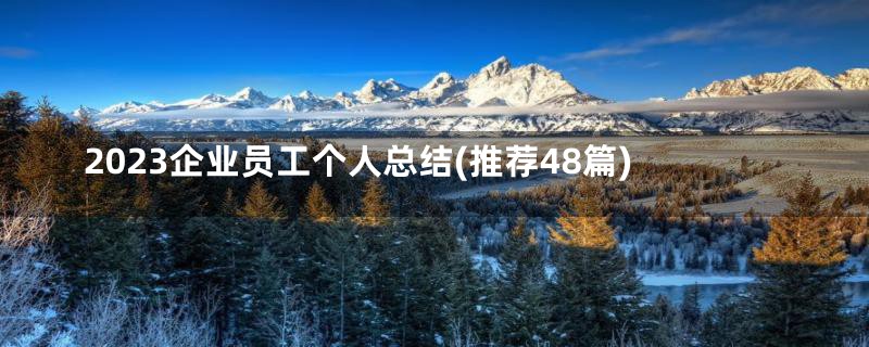 2023企业员工个人总结(推荐48篇)