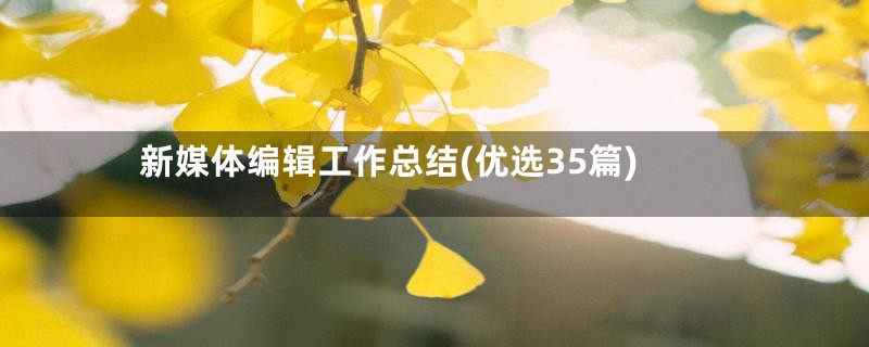 新媒体编辑工作总结(优选35篇)