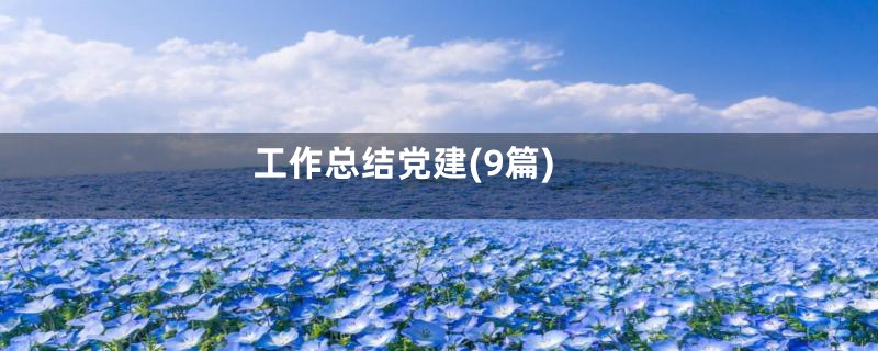 工作总结党建(9篇)
