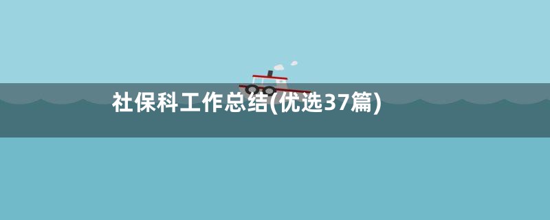 社保科工作总结(优选37篇)