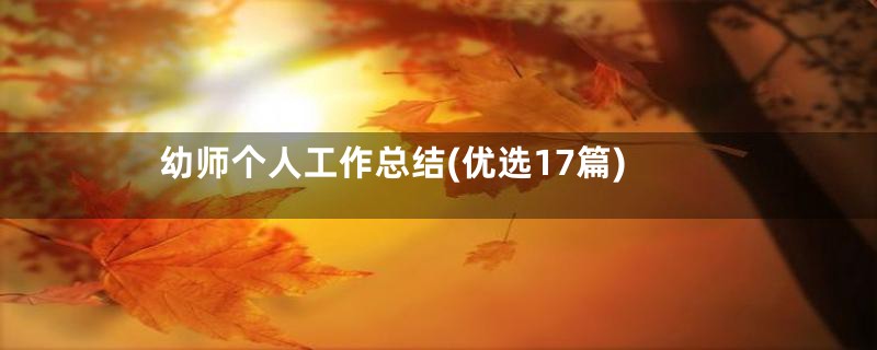 幼师个人工作总结(优选17篇)