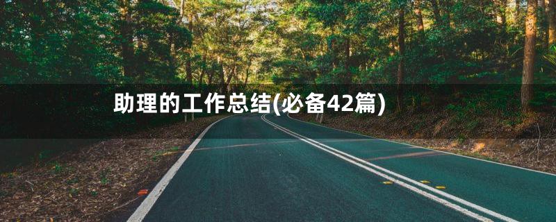 助理的工作总结(必备42篇)
