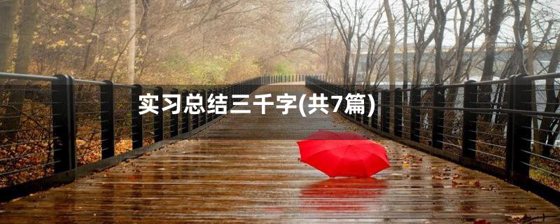 实习总结三千字(共7篇)