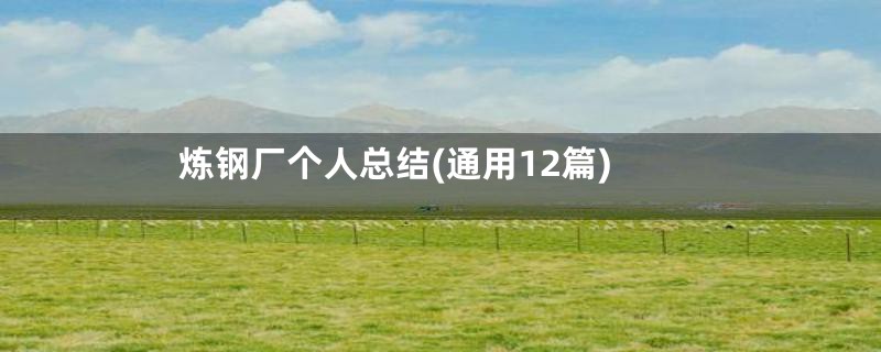 炼钢厂个人总结(通用12篇)
