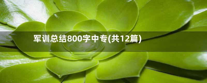 军训总结800字中专(共12篇)