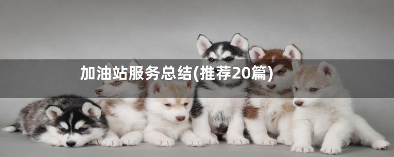 加油站服务总结(推荐20篇)