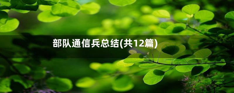 部队通信兵总结(共12篇)