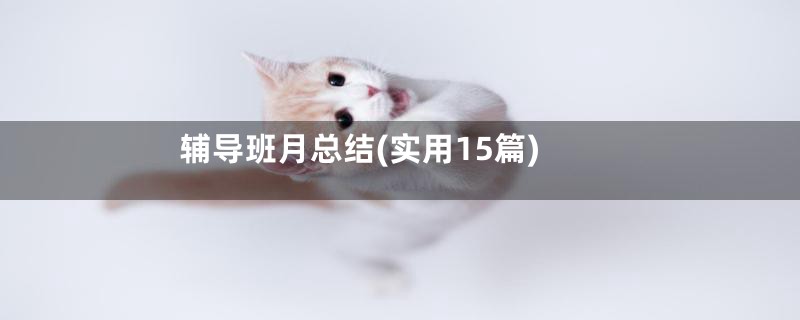 辅导班月总结(实用15篇)