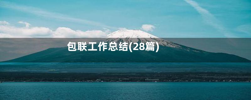 包联工作总结(28篇)