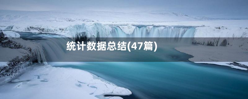统计数据总结(47篇)