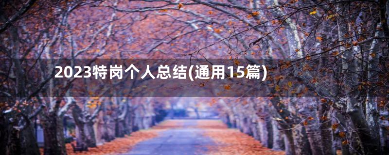 2023特岗个人总结(通用15篇)