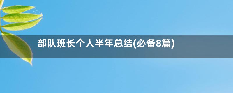部队班长个人半年总结(必备8篇)