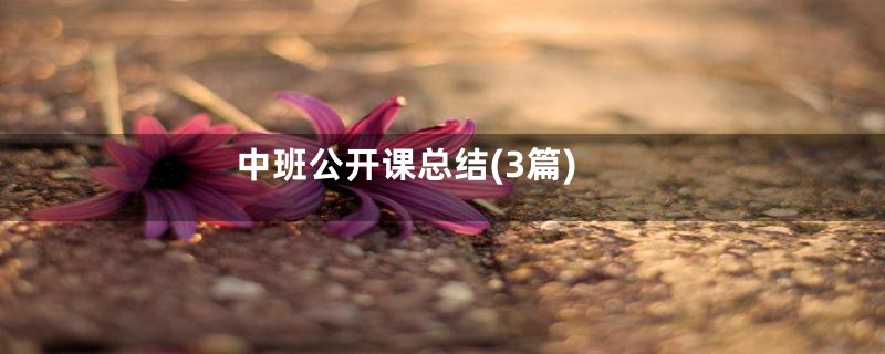 中班公开课总结(3篇)