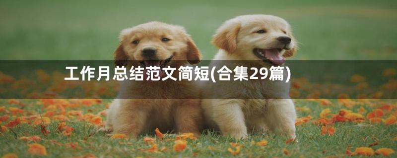工作月总结范文简短(合集29篇)