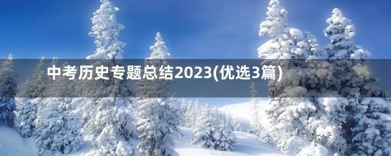 中考历史专题总结2023(优选3篇)