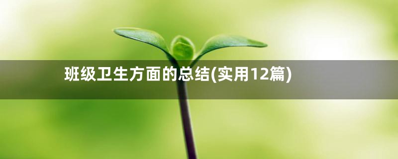 班级卫生方面的总结(实用12篇)