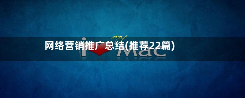 网络营销推广总结(推荐22篇)