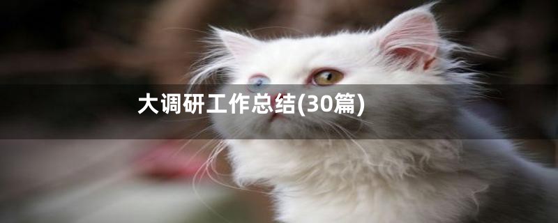 大调研工作总结(30篇)