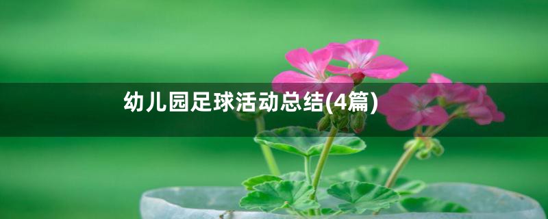 幼儿园足球活动总结(4篇)